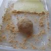レンジで簡単【柔らかきな粉もち】上品な甘さが美味しい♡の工程4