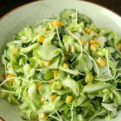 かいわれのサラダです！かいわれ大根とキャベツのサラダ
