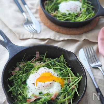 包丁いらず！豆苗の巣ごもりフライドエッグ