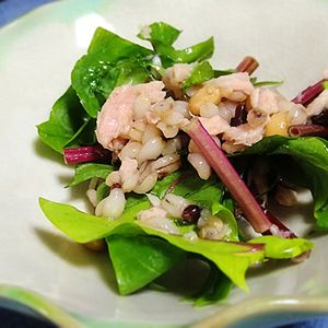 猫の作ってみた!投稿(包丁も火も不要！ほうれん草と豆のツナサラダ)