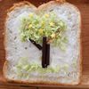 子供と作ろう♪ふわふわチョコの木パン【包丁いらず】の工程4