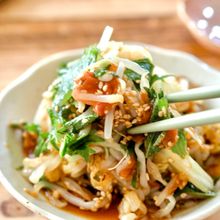 さっぱり美味しい！【もやしとキャベツの梅しそナムル】