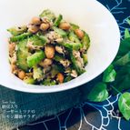 納豆入り☆ゴーヤーとツナのレモン醤油サラダ