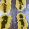 準備5分!鮭とジャガイモのバジルパン粉焼きの工程3