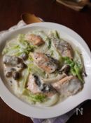 秋鮭と白菜のクリーム煮