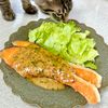 のりのり🐾🎀🤍の作ってみた!投稿(ワンパン10分！【鮭のハニーマスタードソテー】簡単お魚料理♩)