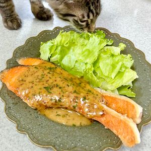のりのり🐾🎀🤍の作ってみた!投稿(ワンパン10分！【鮭のハニーマスタードソテー】簡単お魚料理♩)