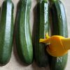 【イタリアンズッキーニボード】ひと手間でうまみ倍増の工程3