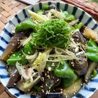 《簡単に味が決まる》薬味たっぷり♪♪茄子とピーマンの煮浸し