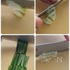 10分で【たこのピリ辛味噌春雨スープ】チュクミ風激うまスープの下準備