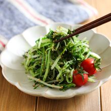 SNSで420万回再生!【水菜のごま和え】お箸が止まらん♡