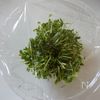 レンジで簡単♪豆苗のめんつゆ和えの工程1