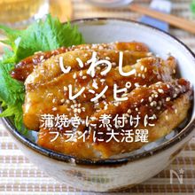 「いわしレシピ」30選｜蒲焼きに煮付けにフライに大活躍