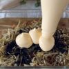 子どもをとりこにする【ごぼうサラダ】の工程3