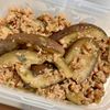 1267933の作ってみた!投稿(こってり甘くて旨い!『豚ひき肉となすのしょうが味噌炒め』)