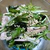 さゆりんの作ってみた!投稿(【水菜使い切り】水菜とワカメのわさびナムル)