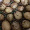 チャモハムの作ってみた!投稿(ホクホク♪『新じゃがいもと豚ひき肉のそぼろ煮＊』)