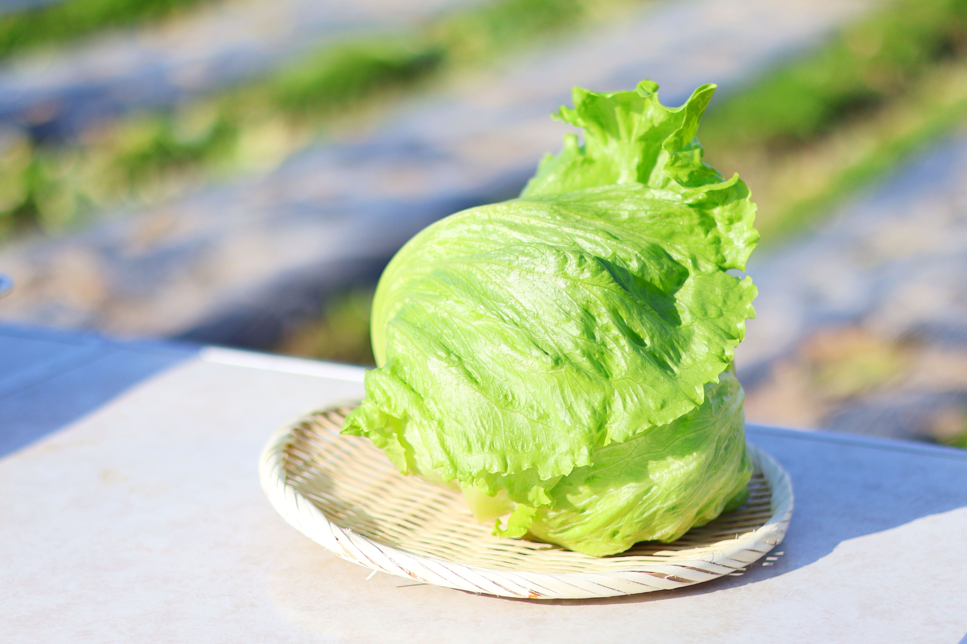 超簡単！5分で作れるレタスの絶品副菜】おいしいレタスの選び方も〜JA