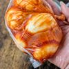 殻むき失敗しない【とろ～り韓国風味玉】の工程8