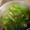 【豆腐とほうれん草のごま麺つゆ和え】15分で作れて激うま！の工程1