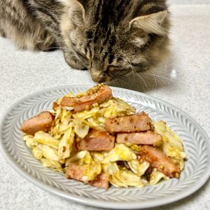 のりのり🐾🎀🤍の作ってみた!投稿(キャベツが酸っぱくてうまい🤭💕ザワークラウト風炒め🍺)