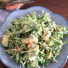 簡単でおすすめ！豆苗とアボカドの明太子マヨサラダ