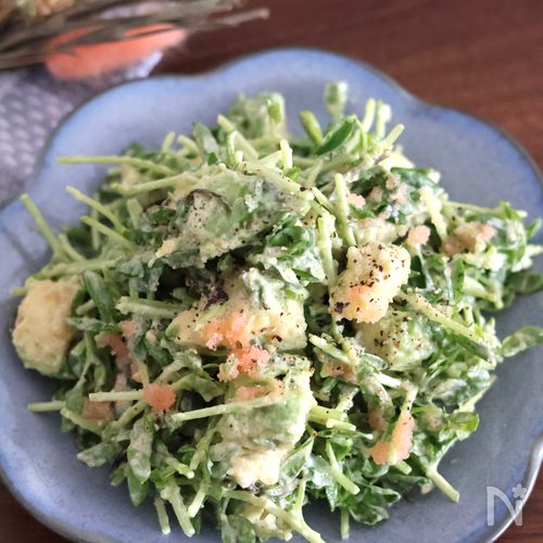 簡単でおすすめ！豆苗とアボカドの明太子マヨサラダ