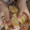 【パリッとジューシー】鶏と長芋の生姜醤油焼きの工程1