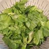 今が旬◎新ごぼうとレタスの春スープの工程2