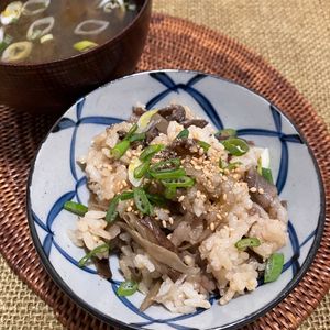 杏の作ってみた!投稿(【不動の人気！牛肉とごぼうの混ぜご飯】男子受け抜群/簡単)