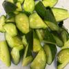 3分で作れる！おつまみ胡瓜の工程1