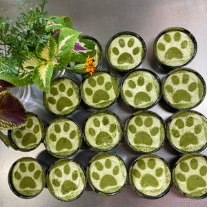 そら・ゆずの作ってみた!投稿(卵なし！レンチンで！
抹茶ミルクババロア)
