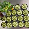 そら・ゆずの作ってみた!投稿(卵なし!レンチンで!
抹茶ミルクババロア)