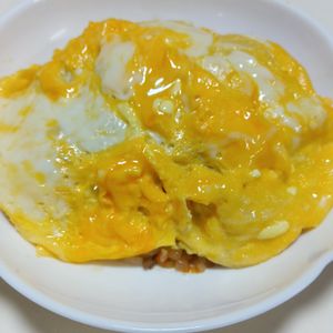 marine55の作ってみた!投稿(節約に！挽き肉deオムライス)