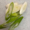 【材料3つ】何度も食べたい葱と松山あげのうどんの工程1