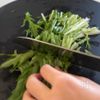 簡単3分副菜♩【水菜としめじのさっぱり梅和え】の工程1