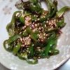 鶏皮坊主の作ってみた!投稿(食材1つ！お箸が止まらない！艶々【ピーマン塩こうじきんぴら】)