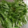 シンプルが故に旨い！邪魔しない！水菜の中華サラダの工程2