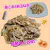 サトちゃんの作ってみた!投稿(【豚こまの新玉甘酢だれ炒め】娘大絶賛!丼にしても◎めちゃ旨)