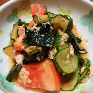 viviの作ってみた!投稿(トマトときゅうりとわかめの中華サラダ【#切って和えるだけ】)
