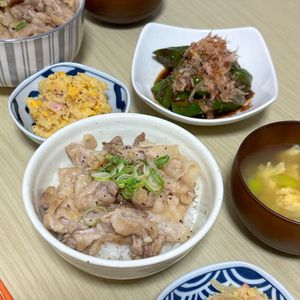 ぽてちの作ってみた!投稿(【絶賛される、ねぎ塩豚カルビ丼】男子受け抜群/簡単/丼レシピ)
