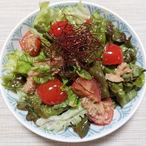 よっこの作ってみた!投稿(抱えて食べたい♪焼肉屋さんのチョレギサラダ)
