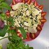 そら・ゆずの作ってみた!投稿(ハマる♡【アボカドと豆腐の塩昆布ナムル】)