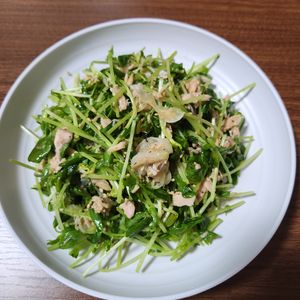 とももの作ってみた!投稿(豆苗と新玉ねぎのツナサラダ【シャキ甘ヘルシー♡】)