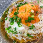 野菜ジュースシャーベットのキンキン！ぶっかけそうめん♪
