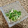 みさみさばぁば🌱の作ってみた!投稿(夏の万能おとも　ツナ新生姜)