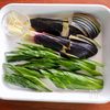 切って漬けるだけ！５分で完成！【夏野菜のポリポリ醤油漬け】の工程2