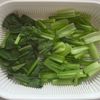 【食材ひとつだけ♪あと一品に】小松菜のナムルの工程3
