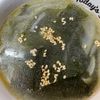 あき♡の作ってみた!投稿(5分で完成!わかめスープ基本のレシピ)