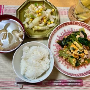 たぁプーの作ってみた!投稿(5分で完成！【白菜とコーンの中華風ツナサラダ】胡麻油香る♩)
